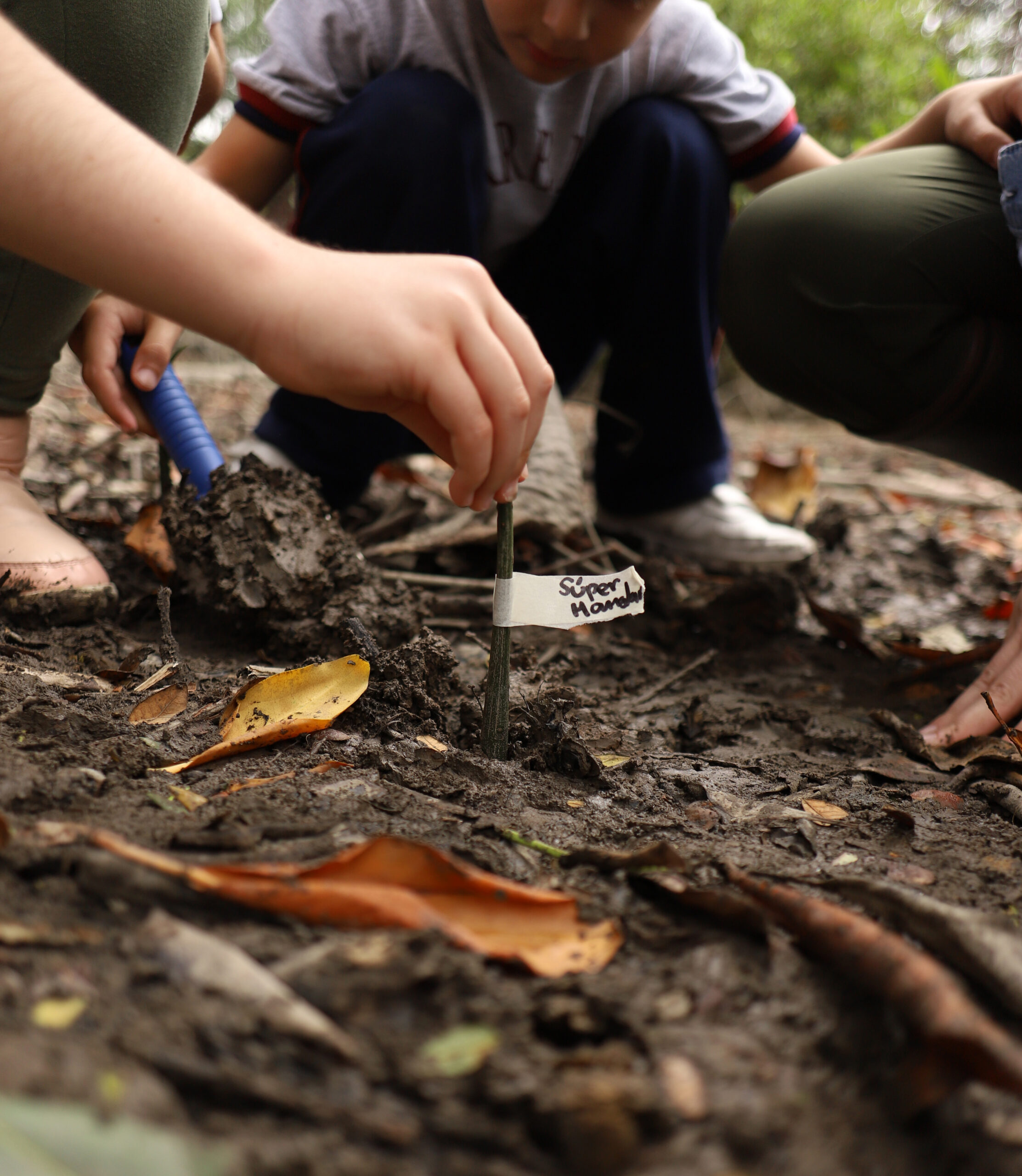 Niños trabajando en proyecto
